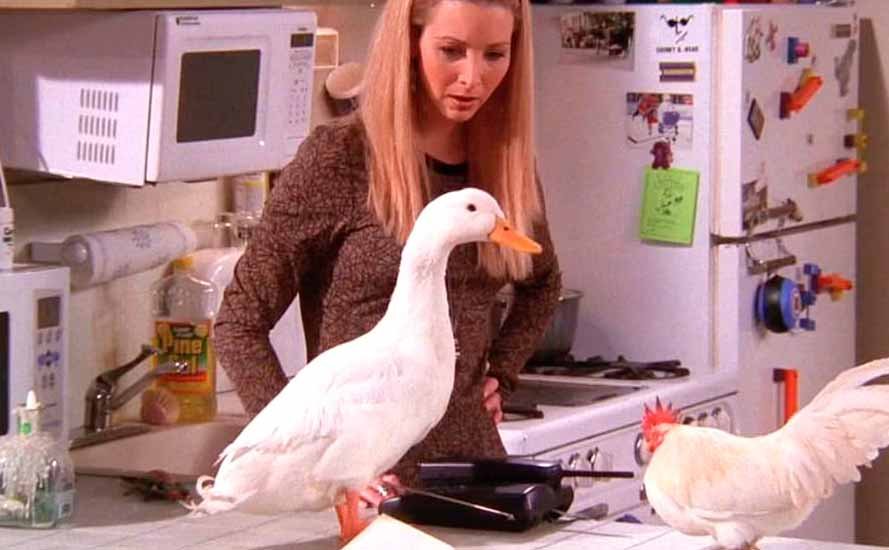 Куда делись цыплёнок и утка из сериала Друзья?