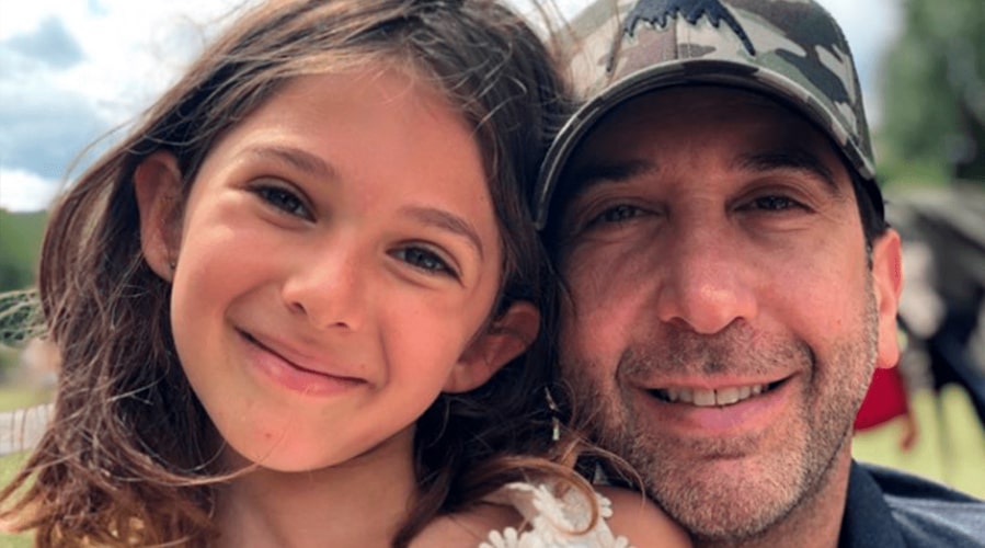 Дэвид Швиммер не мог слушать тему Друзей после ухода из шоу